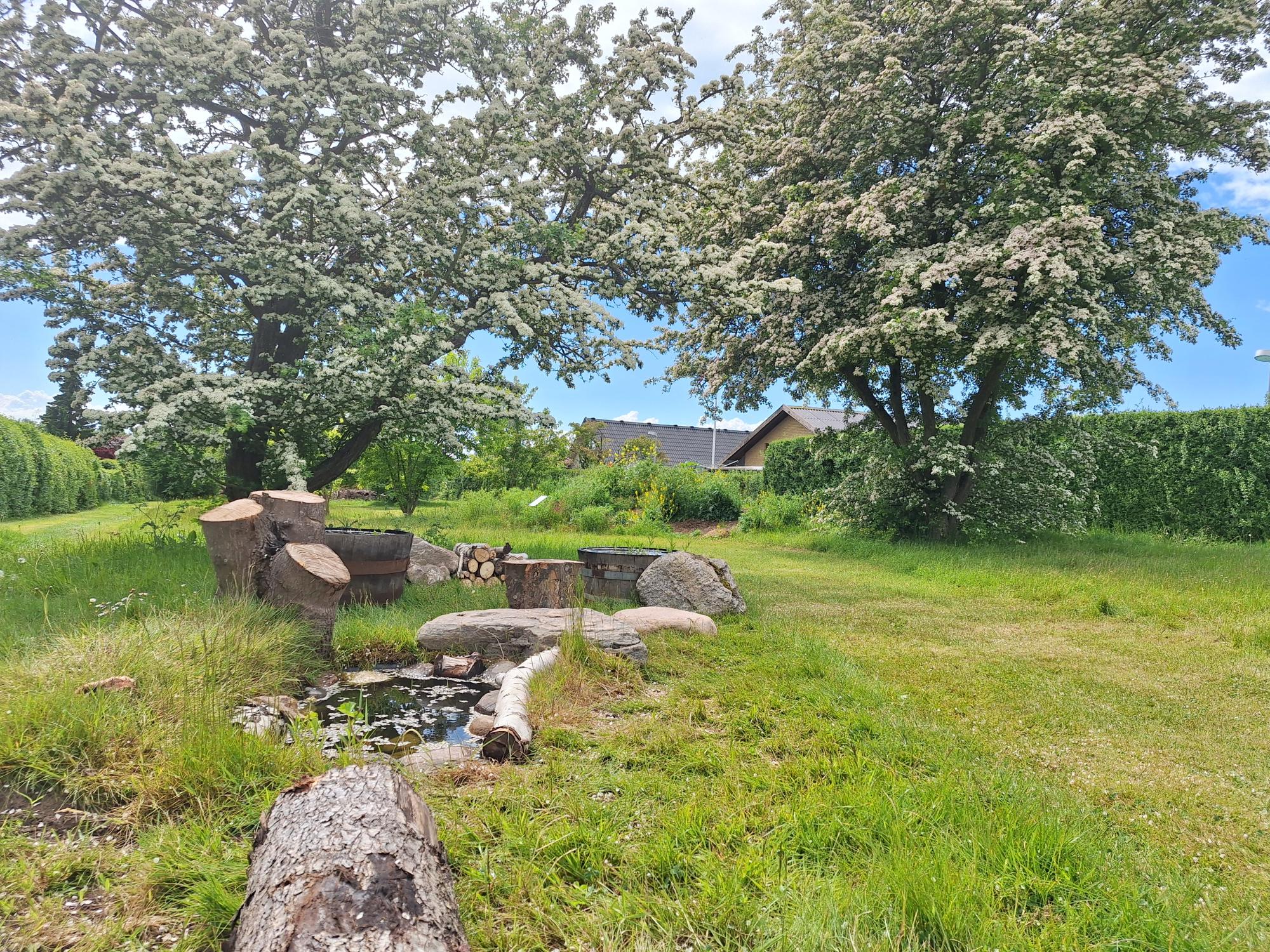 Biodiversitetsparken Ballerup Kommune Vandhul