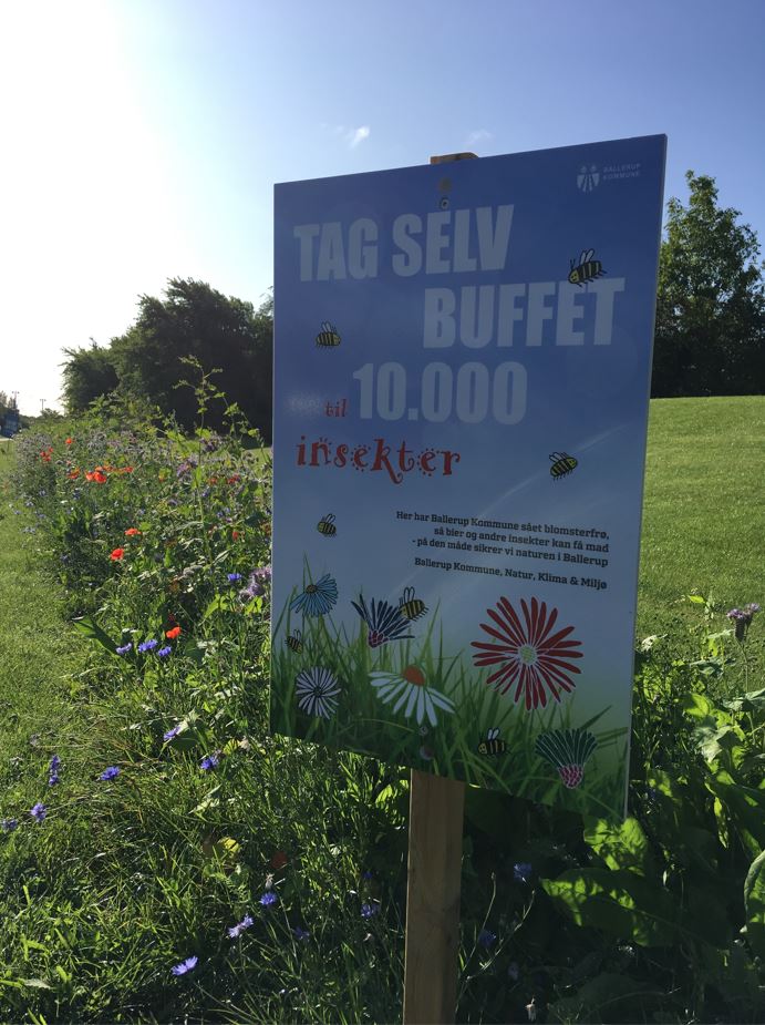 Bi-buffet Ballerup Kommune