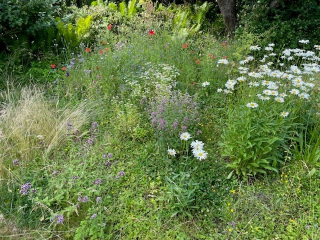 Blomster på trampolinpletten