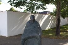 Torvekonen