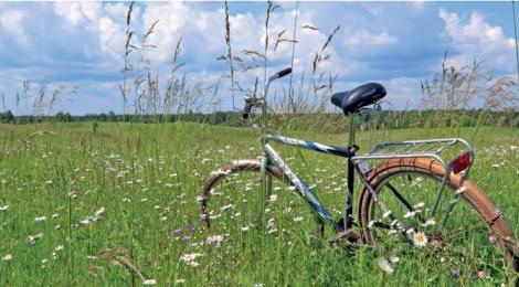 cykel